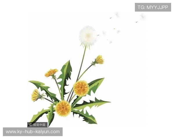 八字警句九字箴言让人醍醐灌顶 广州蒲公英路向何方？
